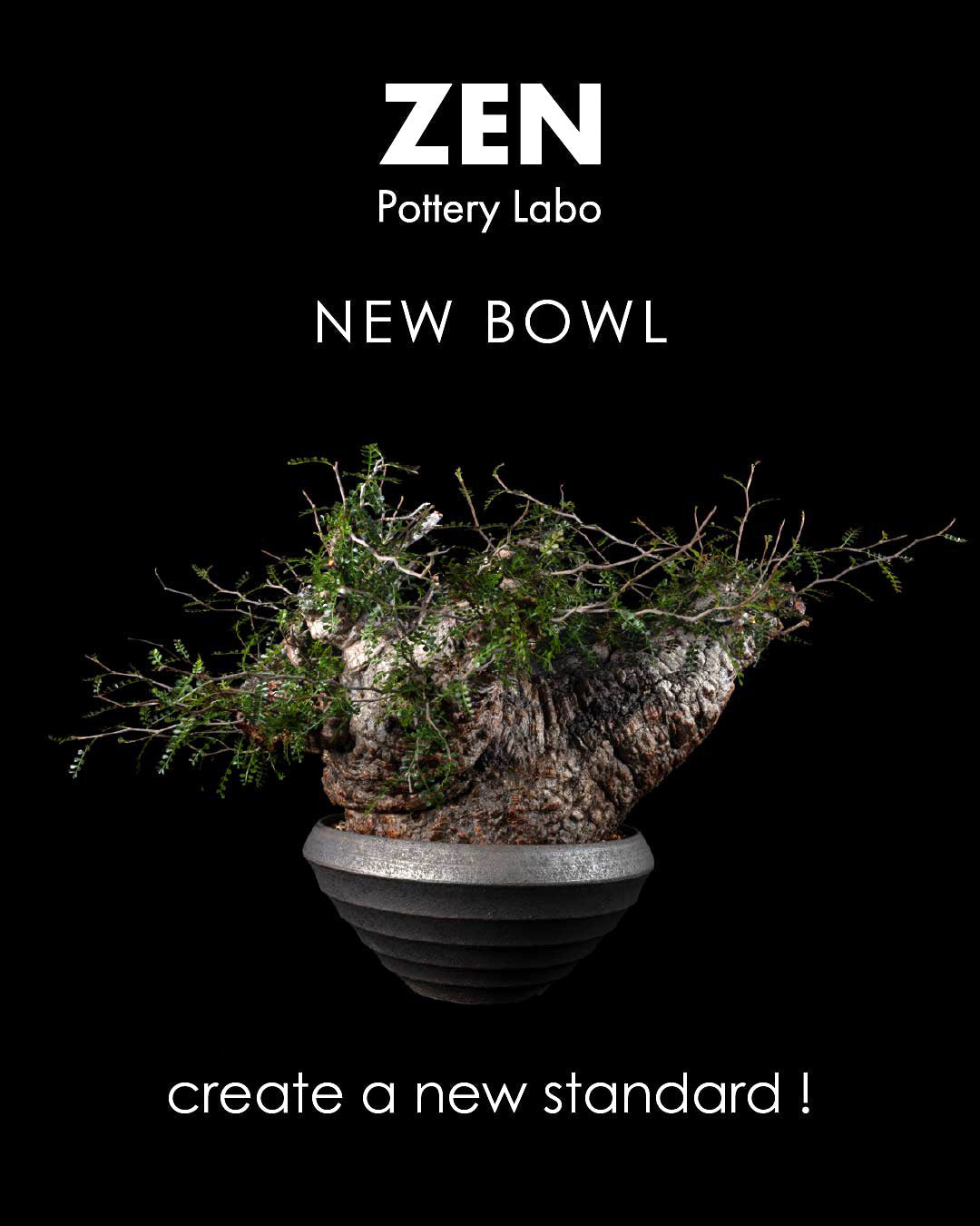 本日21時より新作Bowl の販売を開始します!