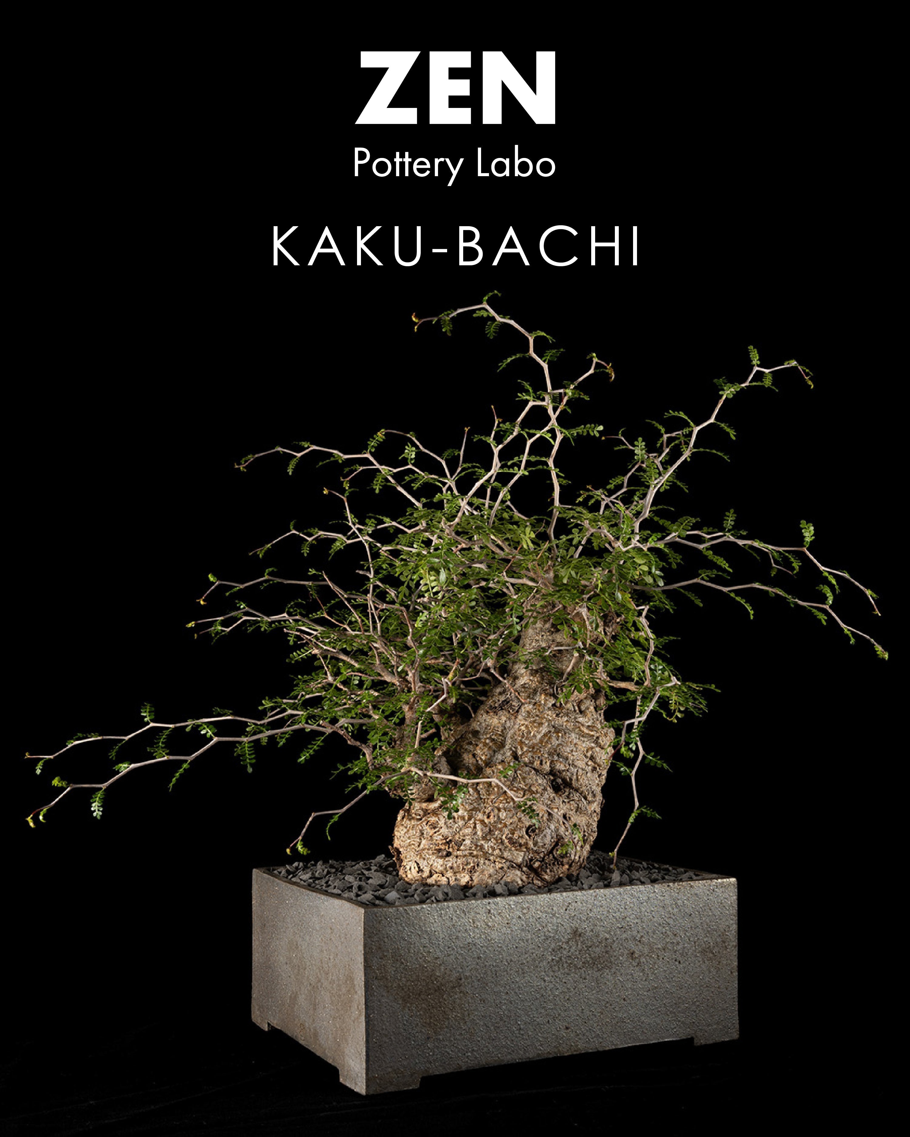 本日10月11日(土)21時よりKAKU-BACHI 黒南蛮の先行予約販売を開始させて頂きます!