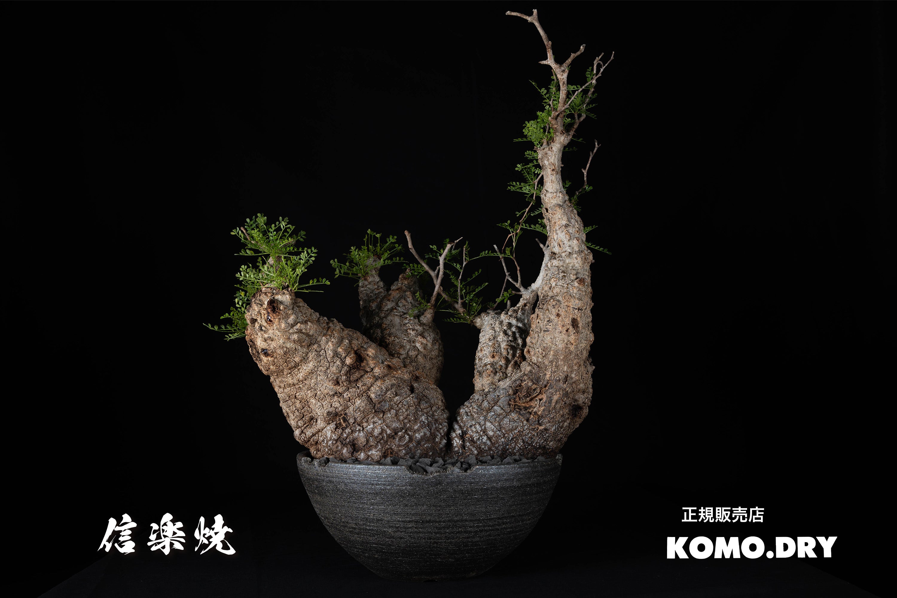 LouBoutin様　新品　陶器　陶芸作家　黒のオーバルリムBOWL5個 y 黒釉/鎬リムボウル/M | 醇窯(じゅんよう) | 糸島くらし×ここのき