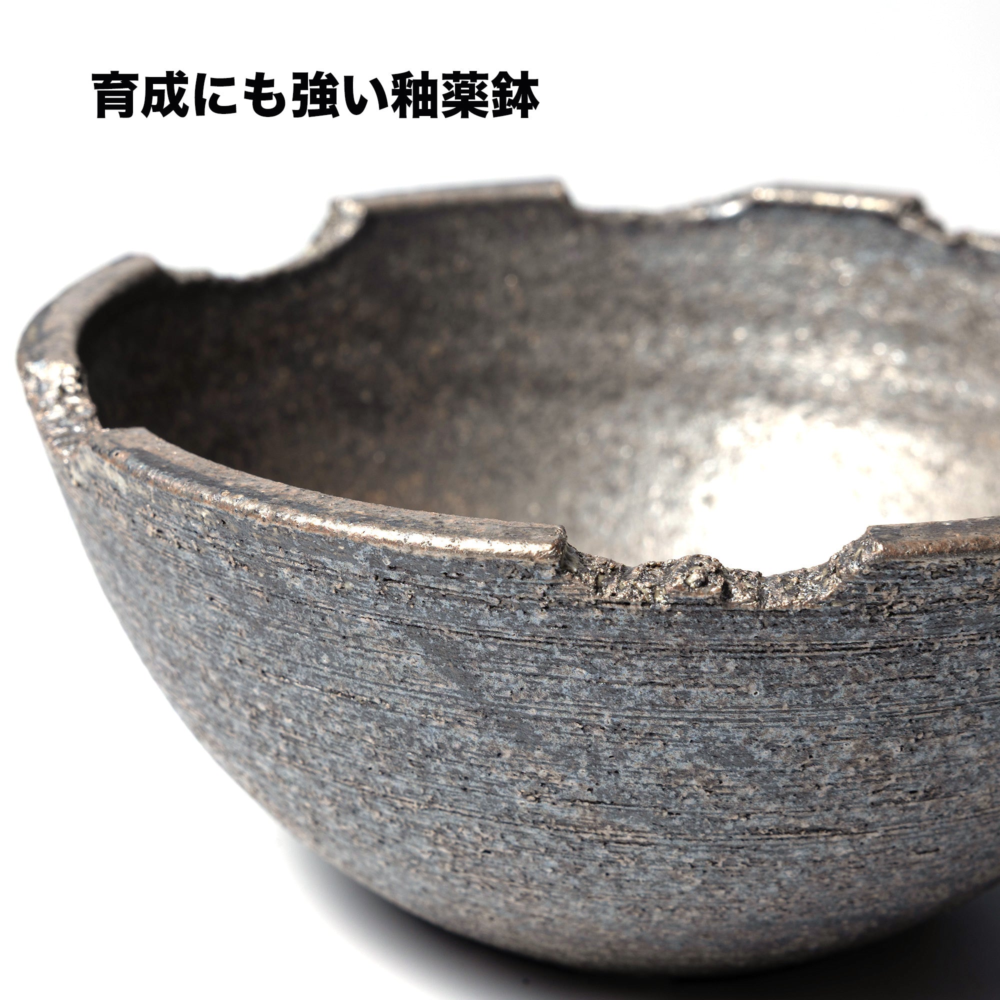 ZEN Pottery Labo | ONLINE STORE