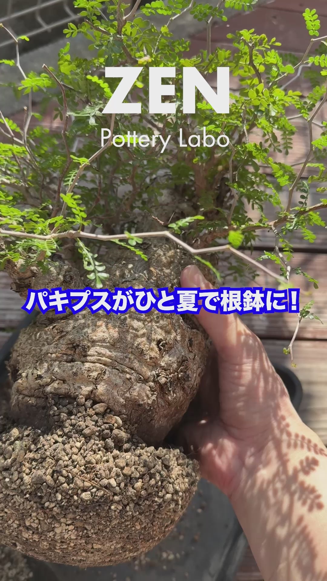 ZEN Pottery Labo | ONLINE STORE